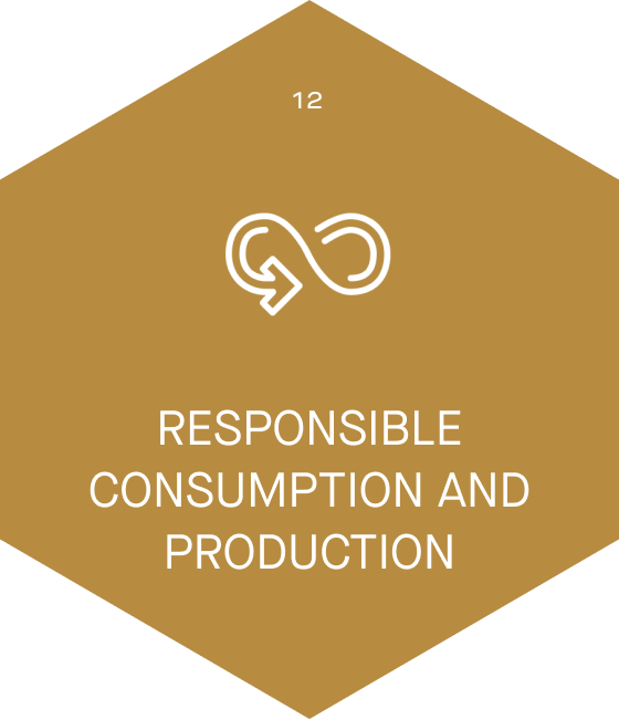 QCIC - United Nations Global Goals