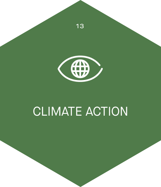 QCIC - United Nations Global Goals