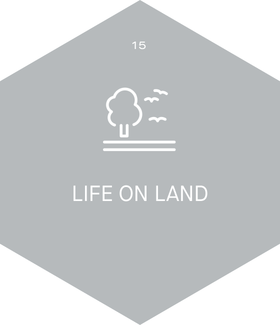 QCIC - United Nations Global Goals
